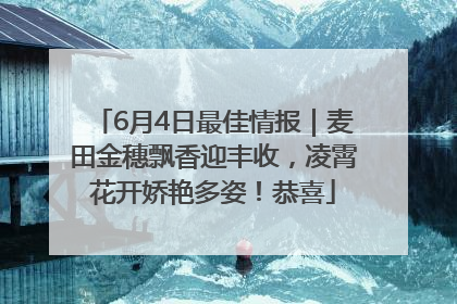 6月4日最佳情报｜麦田金穗飘香迎丰收，凌霄花开娇艳多姿！恭喜