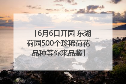 6月6日开园 东湖荷园500个珍稀荷花品种等你来品鉴