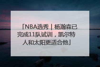 NBA选秀｜杨瀚森已完成11队试训，凯尔特人和太阳更适合他
