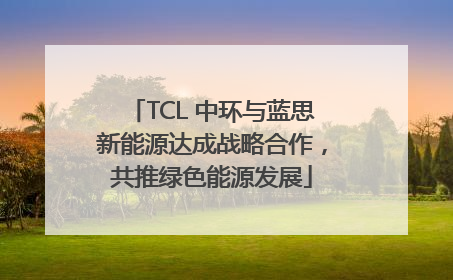 TCL 中环与蓝思新能源达成战略合作，共推绿色能源发展